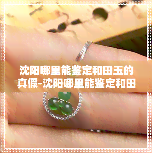 探秘沈陽 尋找和田玉真偽鑒別的文化投資指南